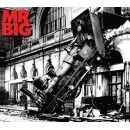 Mr. Big - Lean Into It, Skivor